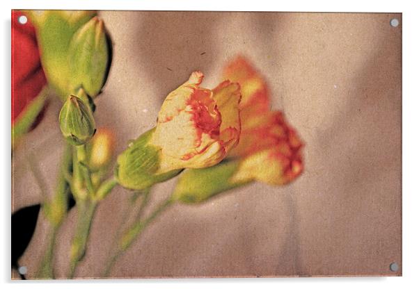 Carnations. Acrylic by Nadeesha Jayamanne