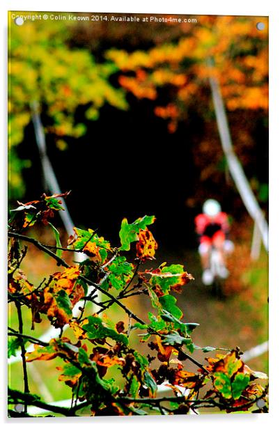  Cyclocross Acrylic by Colin Keown