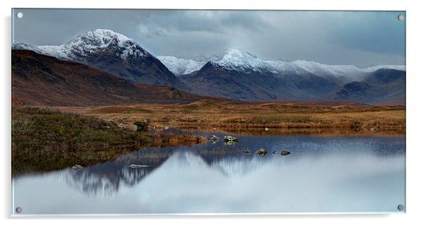Scottish Highland Acrylic by Chris Willman