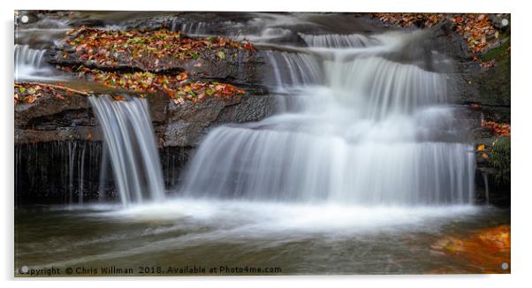 Autumnal Waterfall Acrylic by Chris Willman