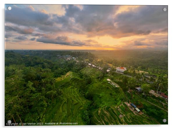 Bali rice terrace sunset Acrylic by Jan Venter