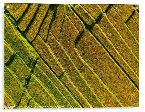 Rice terrace pattern Acrylic by Jan Venter