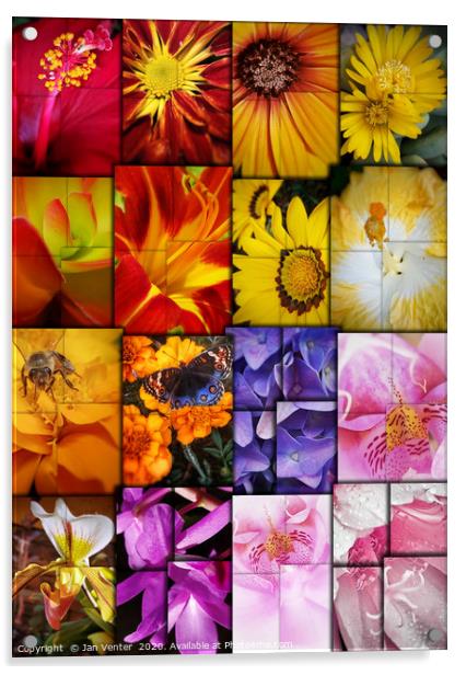 Floral Collage Acrylic by Jan Venter