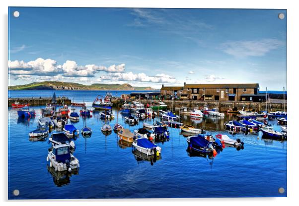 lyme Regis Harbour Dorset Acrylic by austin APPLEBY