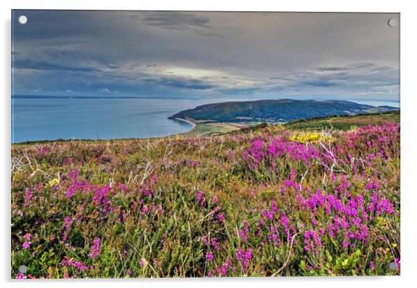 Porlock Hill View Exmoor Somerset Acrylic by austin APPLEBY