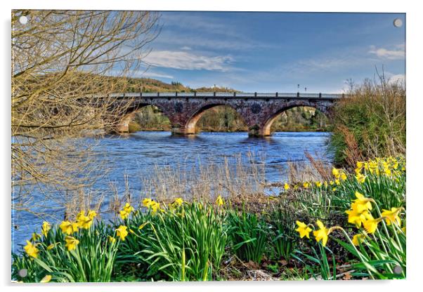 Perth Bridge and River Tay Daffodils Scotland Acrylic by austin APPLEBY