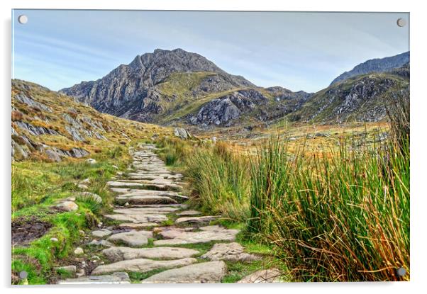 Pathway To Tryfan Acrylic by austin APPLEBY