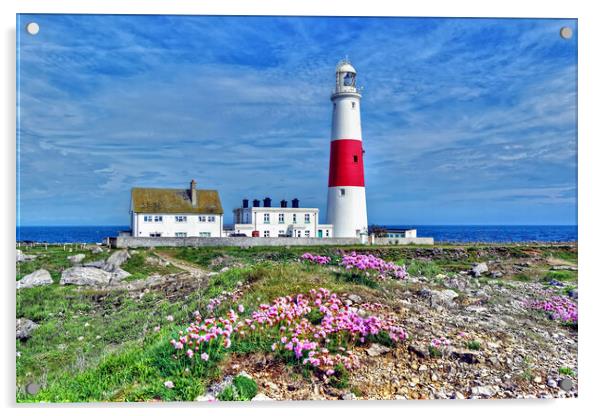Portland Lighthouse Sea Pinks Dorset Acrylic by austin APPLEBY