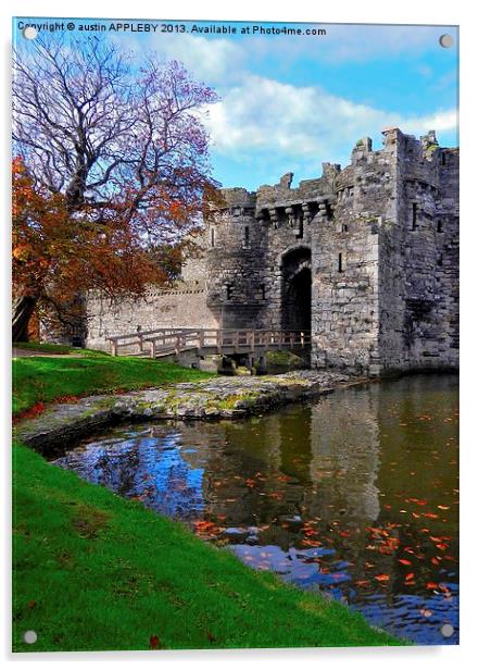 FALLING LEAVES AT BEAUMARIS CASTLE Acrylic by austin APPLEBY