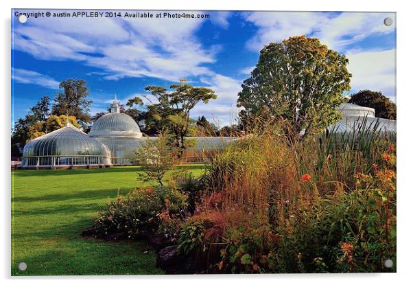 Kibble Palace Botanic Gardens Glasgow  Acrylic by austin APPLEBY