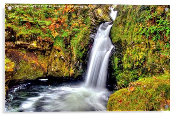  Ceunant Mawr Waterfall Acrylic by austin APPLEBY