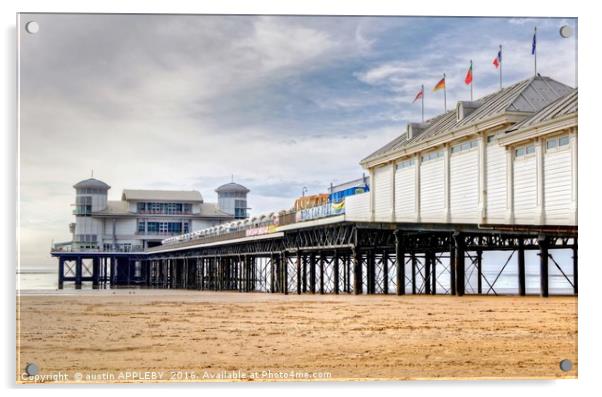 Grand Pier Weston Super Mare Acrylic by austin APPLEBY