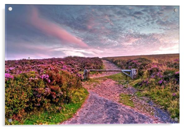Pathway to Dunkery Beacon Exmoor Acrylic by austin APPLEBY