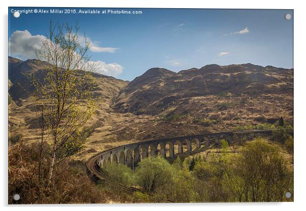  Glenfinnan Viaduct Acrylic by Alex Millar