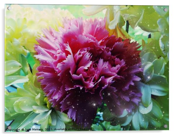 Twinkling Carnation                          Acrylic by Jane Metters