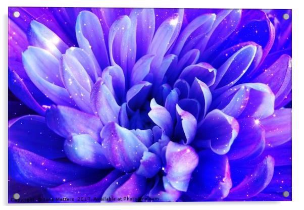 Flower Petals Acrylic by Jane Metters