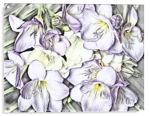 Freesia Art Acrylic by Jane Metters