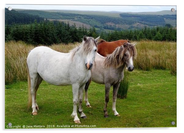 Living on the Brecon Beacons. Acrylic by Jane Metters