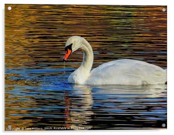 Elegance on Water Acrylic by Jane Metters