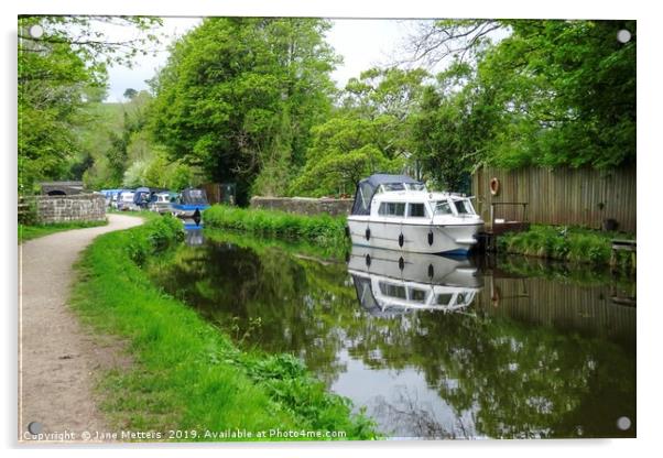 Monmouthshire and Brecon Canal  Acrylic by Jane Metters