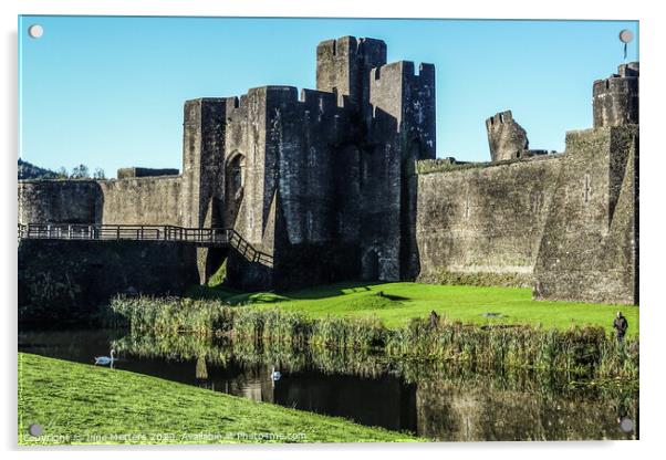 The Castle in Caerphilly  Acrylic by Jane Metters