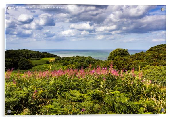 Tranquil Escape Coastal Path at Cromer Acrylic by Avril Harris