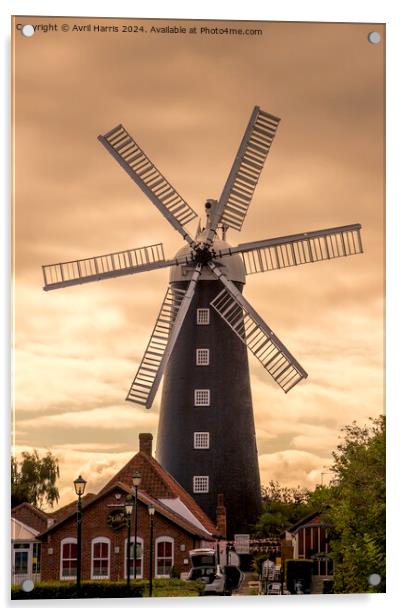 Waltham Windmill Grimsby Acrylic by Avril Harris