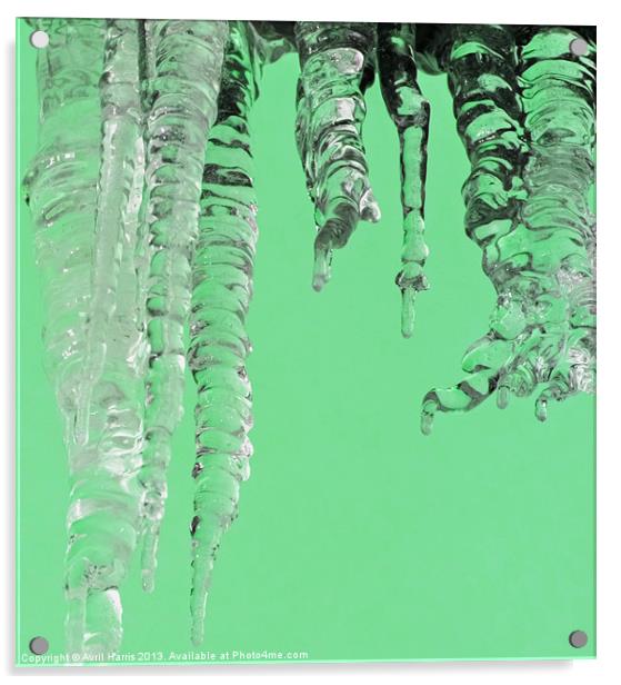 Minted icicles Acrylic by Avril Harris