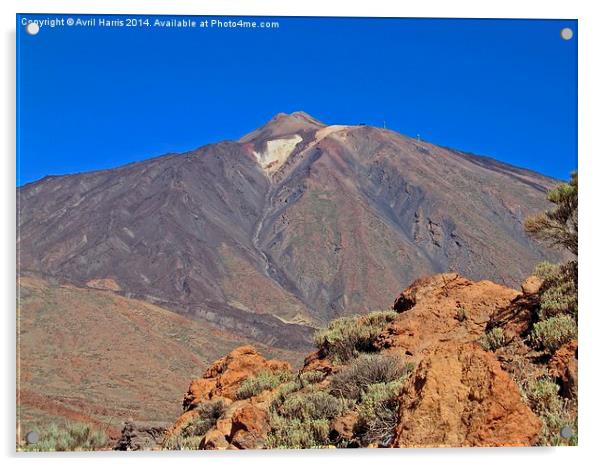 Mount Teide Tenerife Acrylic by Avril Harris
