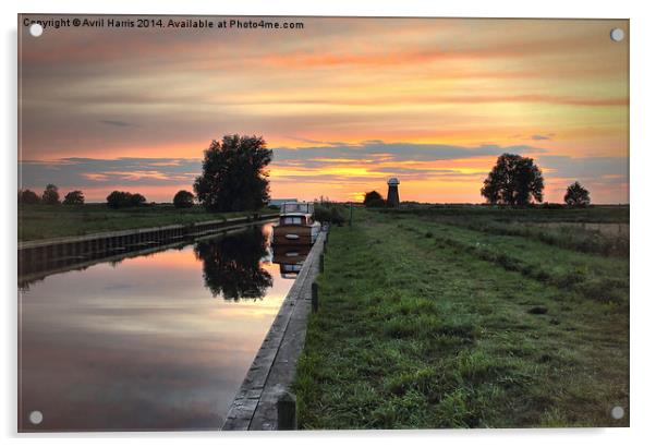  West Somerton Sunset Acrylic by Avril Harris