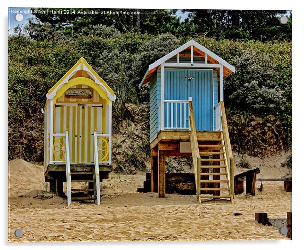 Wells next the sea beach huts Acrylic by Avril Harris