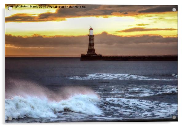  Roker pier and lighthouse sunrise Acrylic by Avril Harris