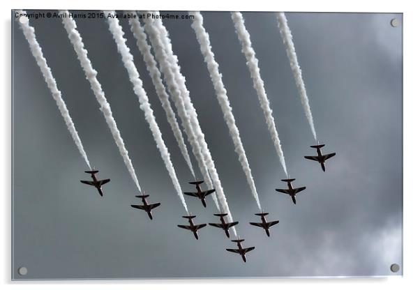  Red Arrows Acrylic by Avril Harris