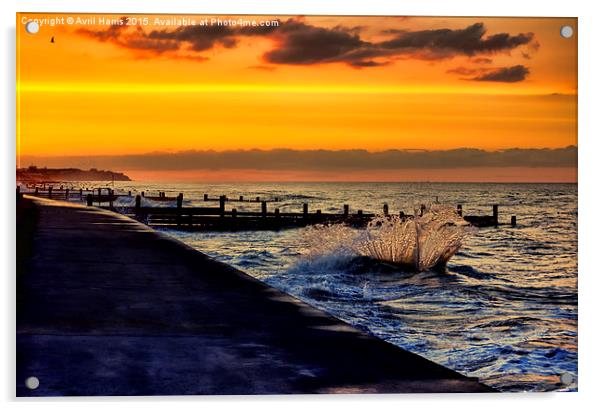  Ocean sunset at walcott Acrylic by Avril Harris