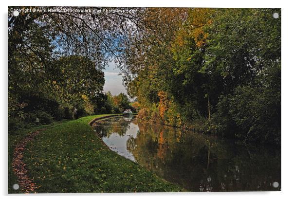  Oxford Canal in the Autumn Acrylic by Avril Harris