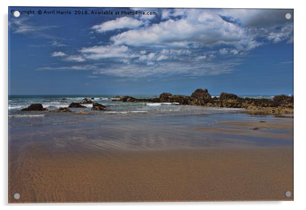 Widemouth Bay Beach Acrylic by Avril Harris