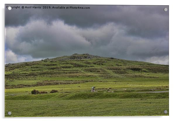 Cox Tor, Dartmoor, Devon, Acrylic by Avril Harris