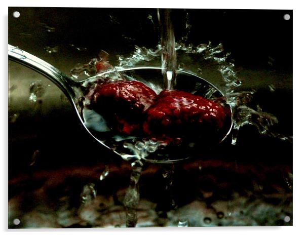 Raspberry splash Acrylic by Rebecca Wolstenholme