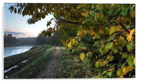 Capturing Autumn Acrylic by Stephen Paul Cahill