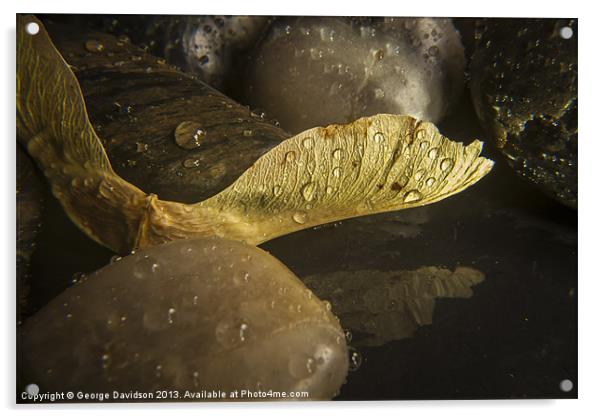 Some Fell on Stony Ground Acrylic by George Davidson