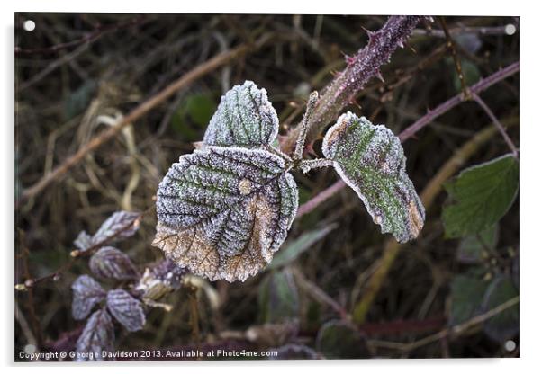 Frosted Acrylic by George Davidson