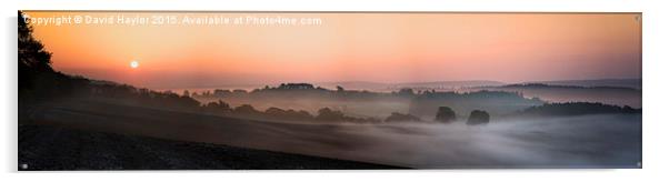  Mist Dawn at Newlands Corner Acrylic by David Haylor
