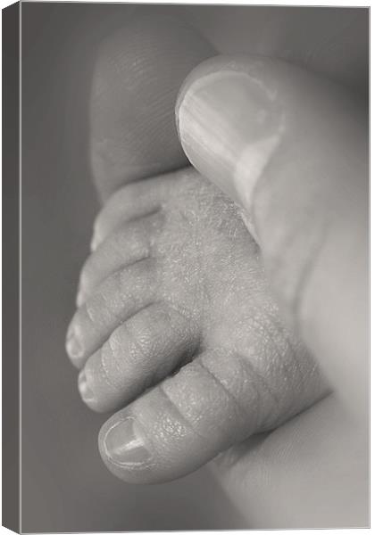 Baby foot in hand Canvas Print by Jonathan Pankhurst