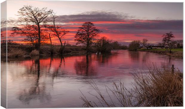  Derwent Red Canvas Print by Steve Cole
