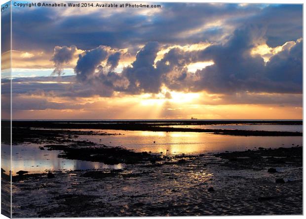 Solent Sunrise Canvas Print by Annabelle Ward