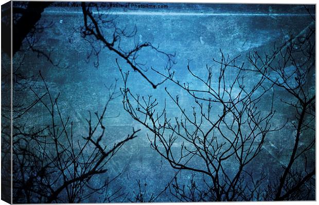 Branches In Blue Canvas Print by Annabelle Ward