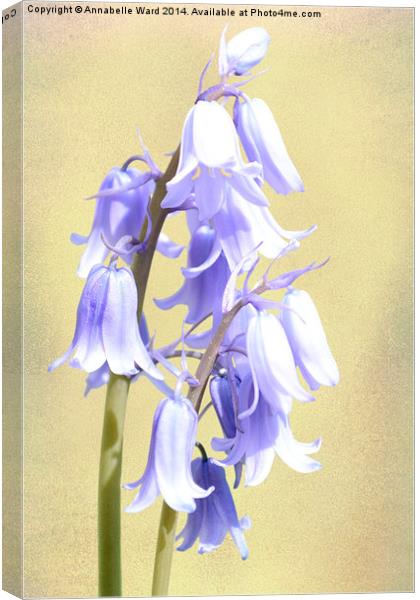 Bluebells on Cream Canvas Print by Annabelle Ward