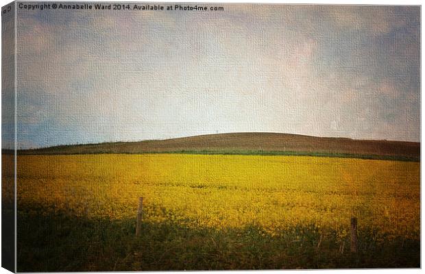 Field of Yellow Canvas Print by Annabelle Ward