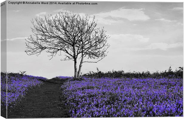 Bluebells On Monochrome Canvas Print by Annabelle Ward