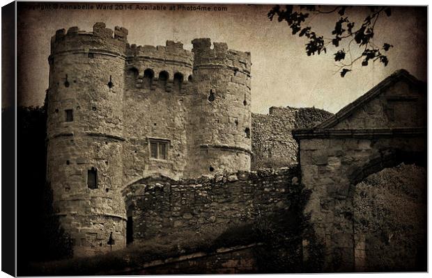 Carisbrooke Castle. Canvas Print by Annabelle Ward